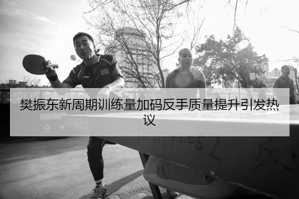 樊振东新周期训练量加码反手质量提升引发热议